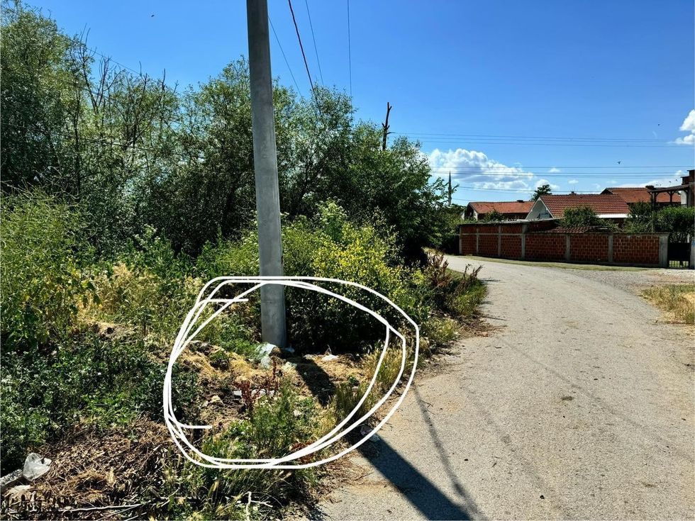 446079648 1109601523477220 368281855901438396 n