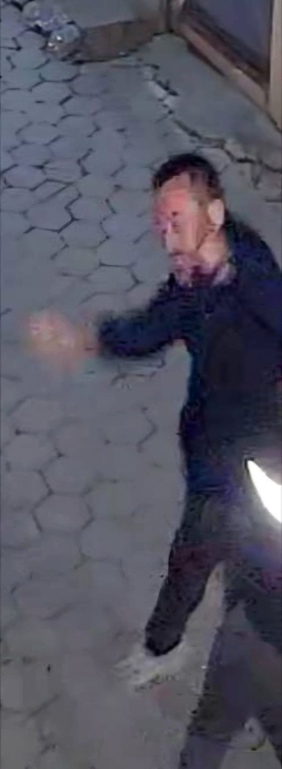 447450253 761500222856905 5919603218106613987 n