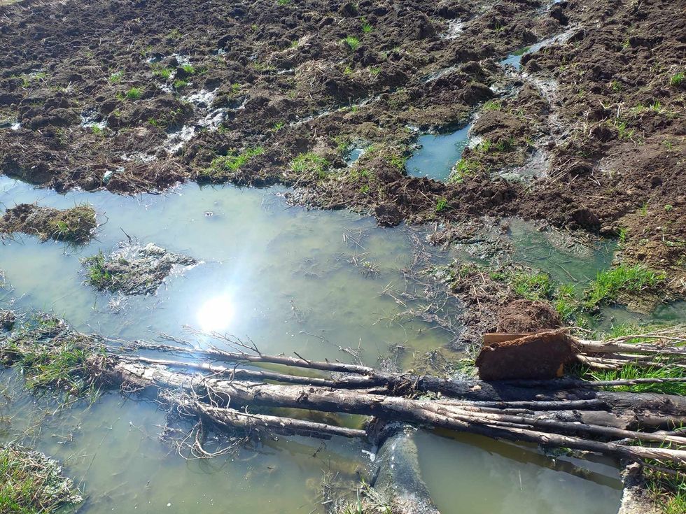 448134193 476126711676415 9180194964788446161 n