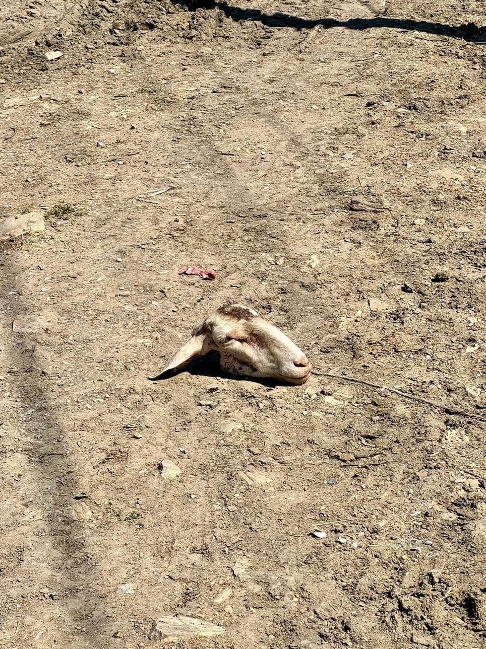 448196350 1605746803327570 5245444107493928121 n