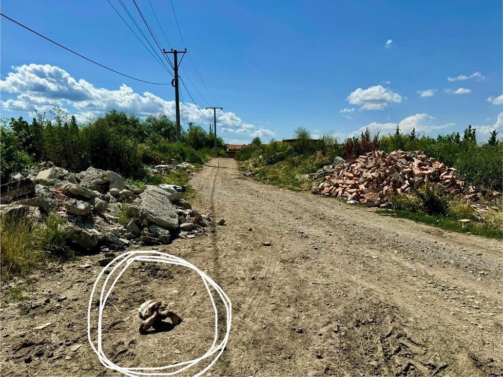 448328956 1150540499580801 6253570069378329570 n