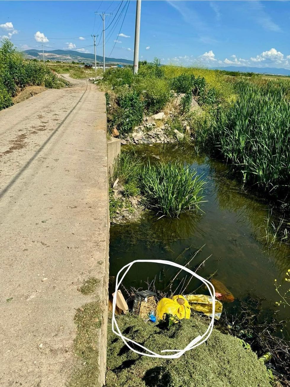 448457910 1674573503303144 1225667699667174466 n