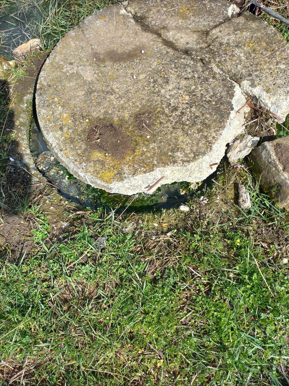 449346942 833972561641807 641490976794682223 n