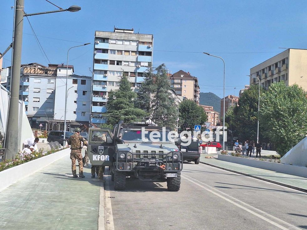 449513132 1186614229250723 8424429158127029308 n