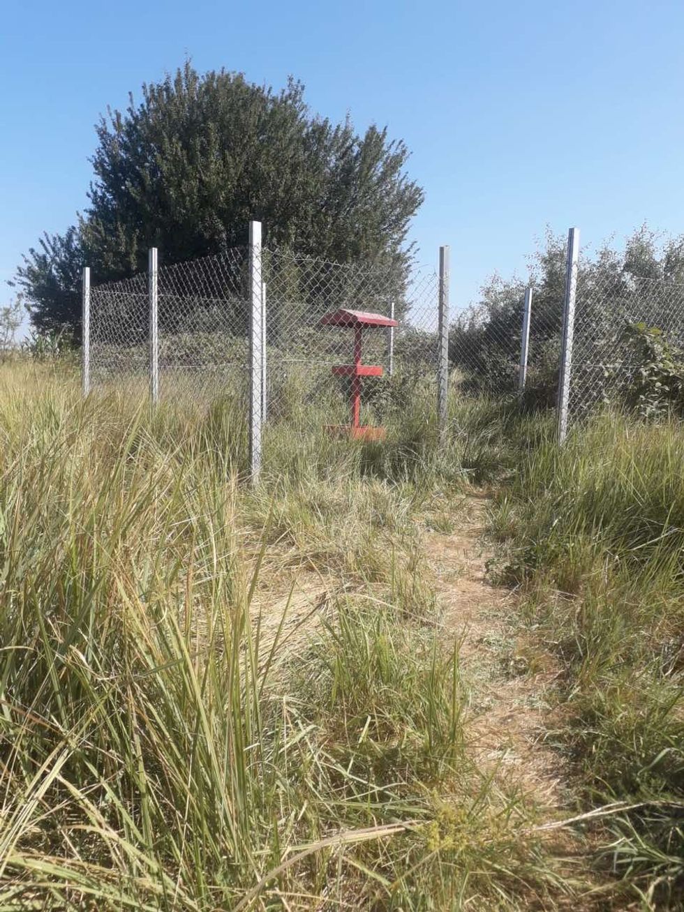 449676351 1031576725234052 3495682842978486522 n