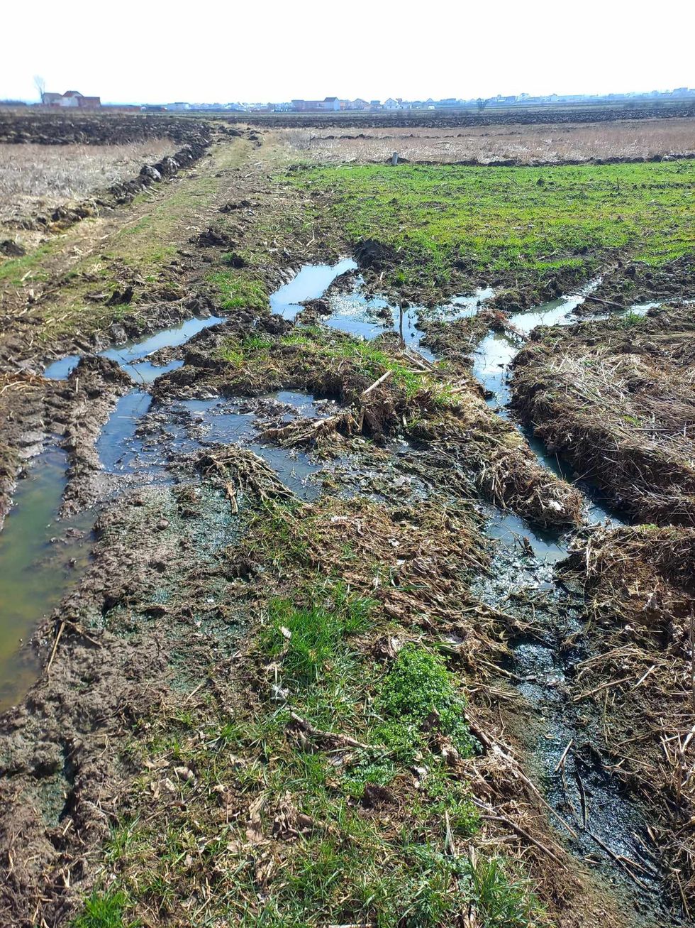 449752423 3755734968047582 5016793915465844685 n