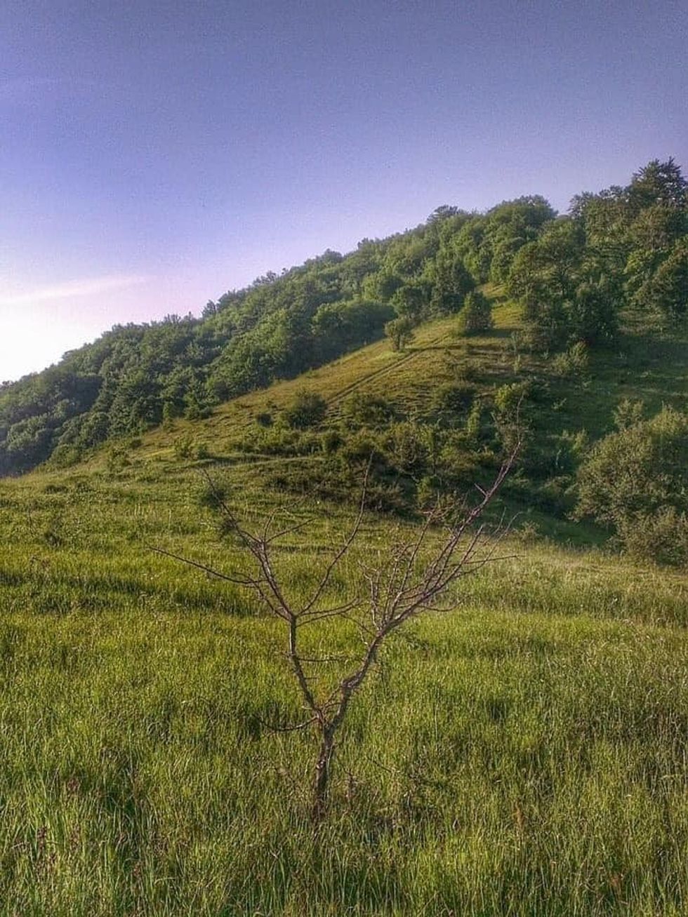 451401319 884566627047129 2013739215026940259 n