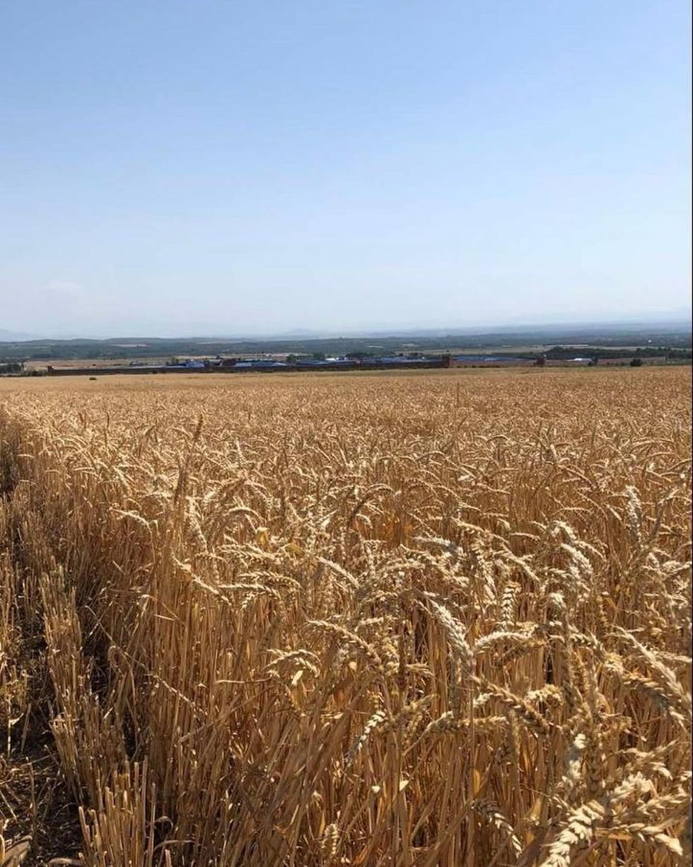 452007656 18046588147873087 356474240599285787 n