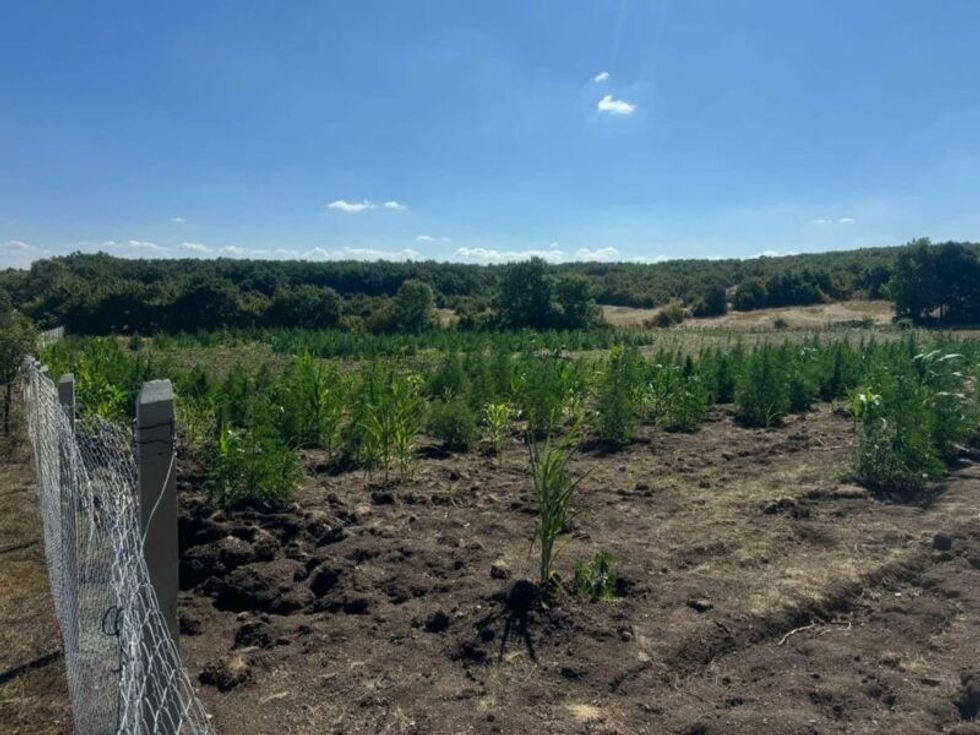 452013849 1882297485603995 348715664166394033 n 1