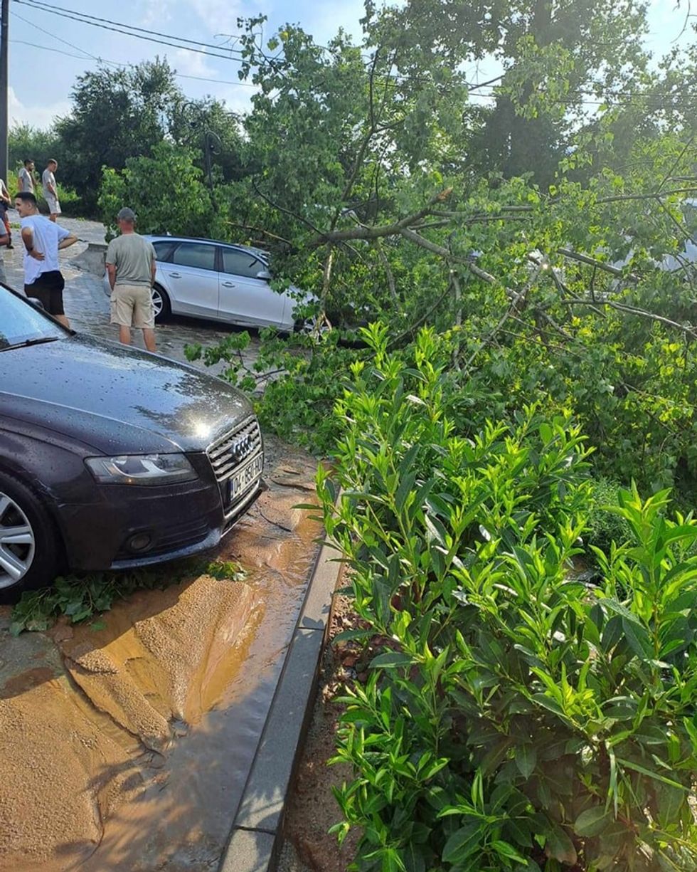 452229751 887601823397854 3414898964964285486 n