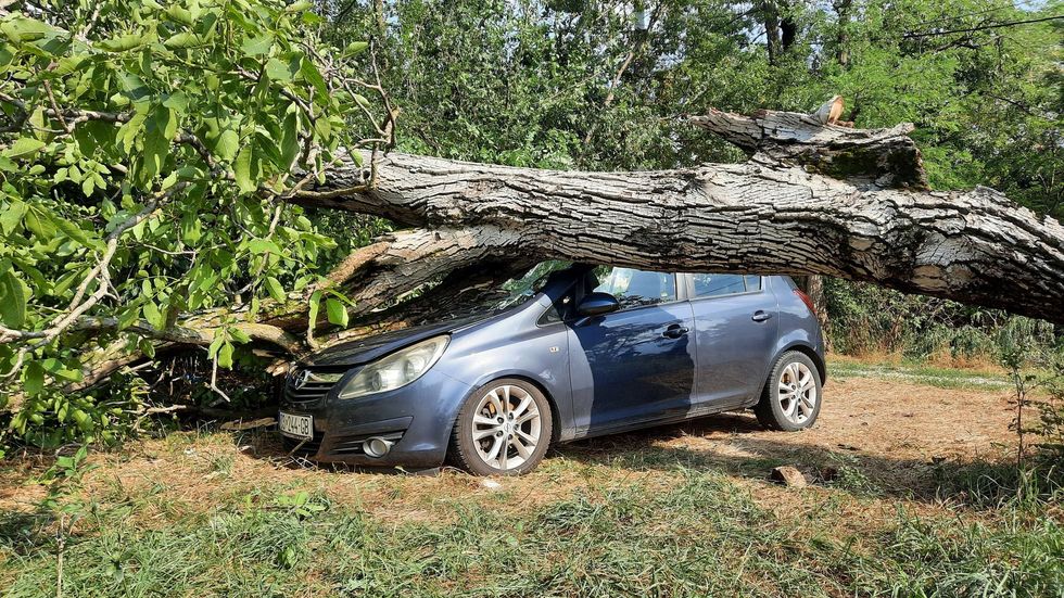 452259071 888611456409747 8959645442058574607 n