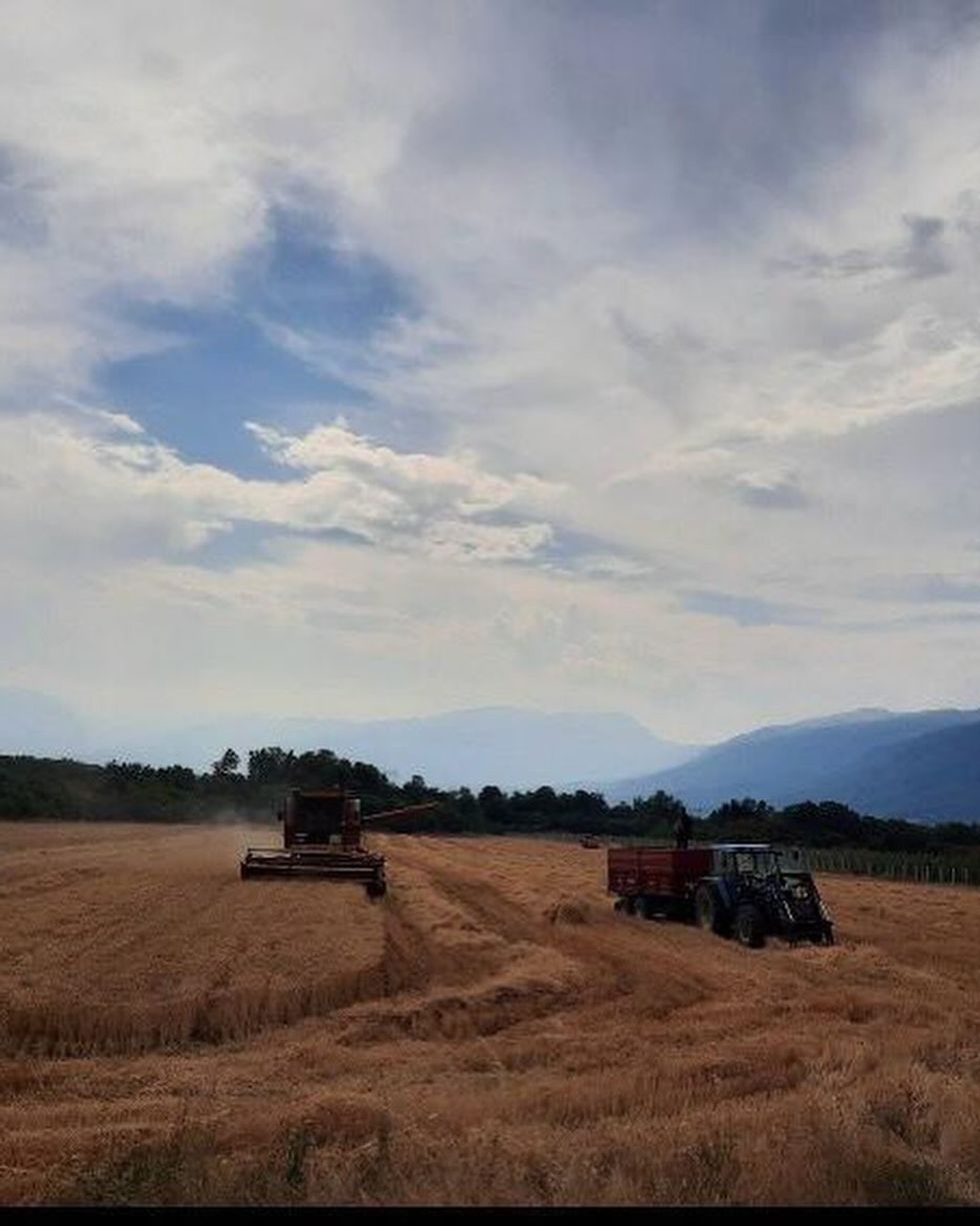 452382305 18046588156873087 4222246865035500263 n