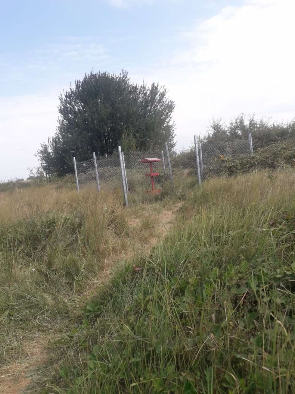 452885166 402584399098214 5543009208091212550 n