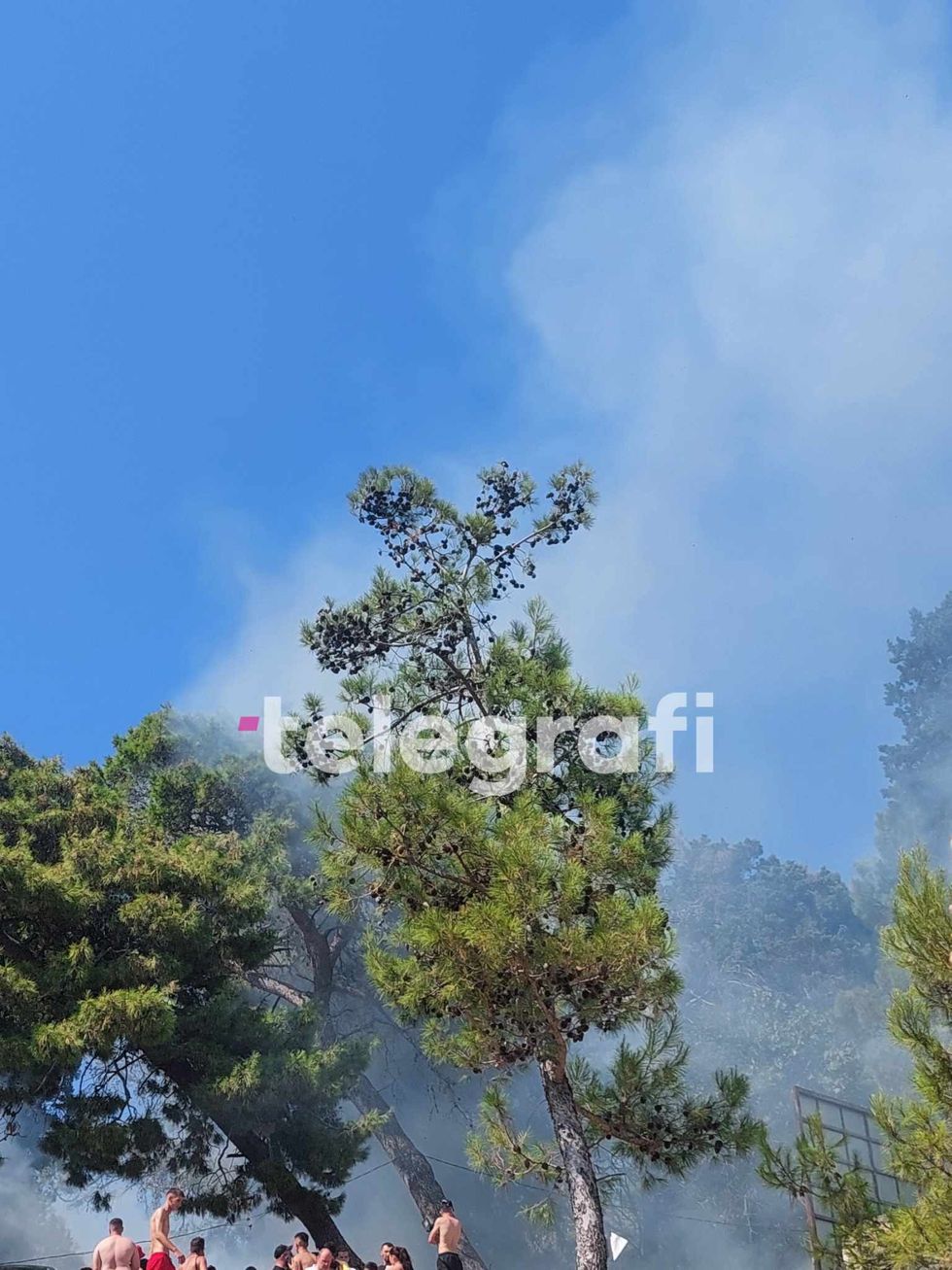 453345511 471587782319469 4159798778508640315 n 1