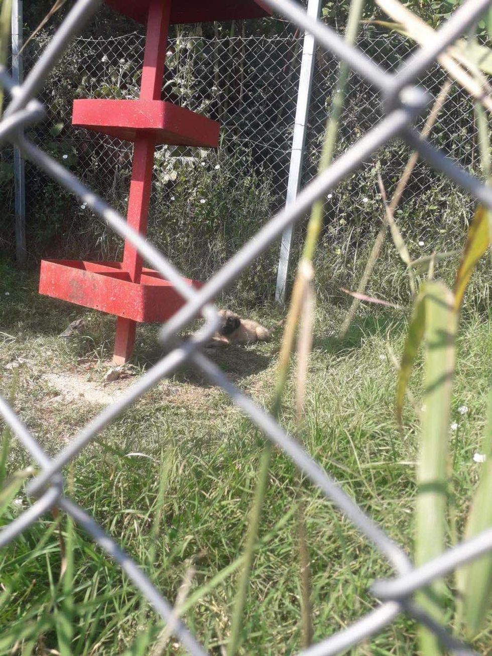 453487873 1062022218879626 3877501293752636117 n