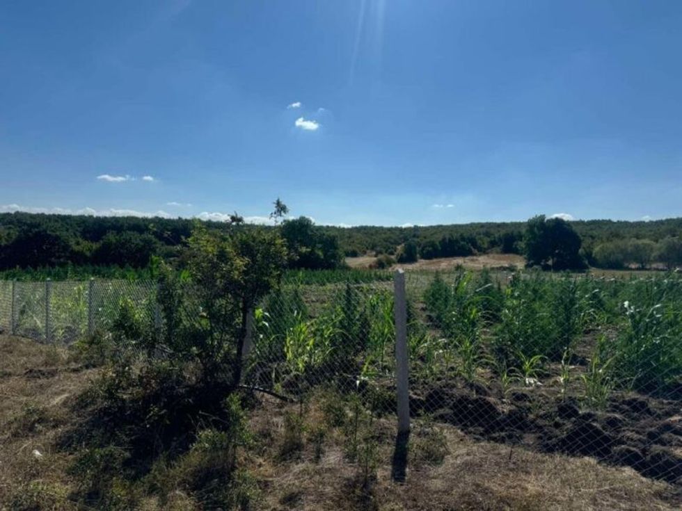 453507236 1032796834536003 1895895928749145825 n 1