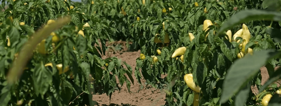 453544597 473607215307116 471379739798384424 n