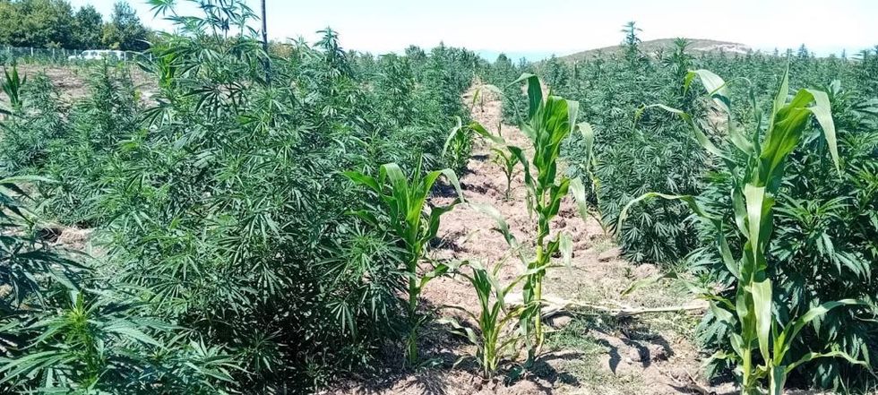 453568995 2159647711101314 8472561400937623688 n