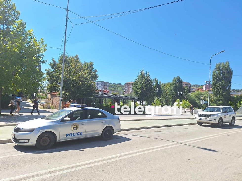 453763346 488984567249771 4492245964857136458 n