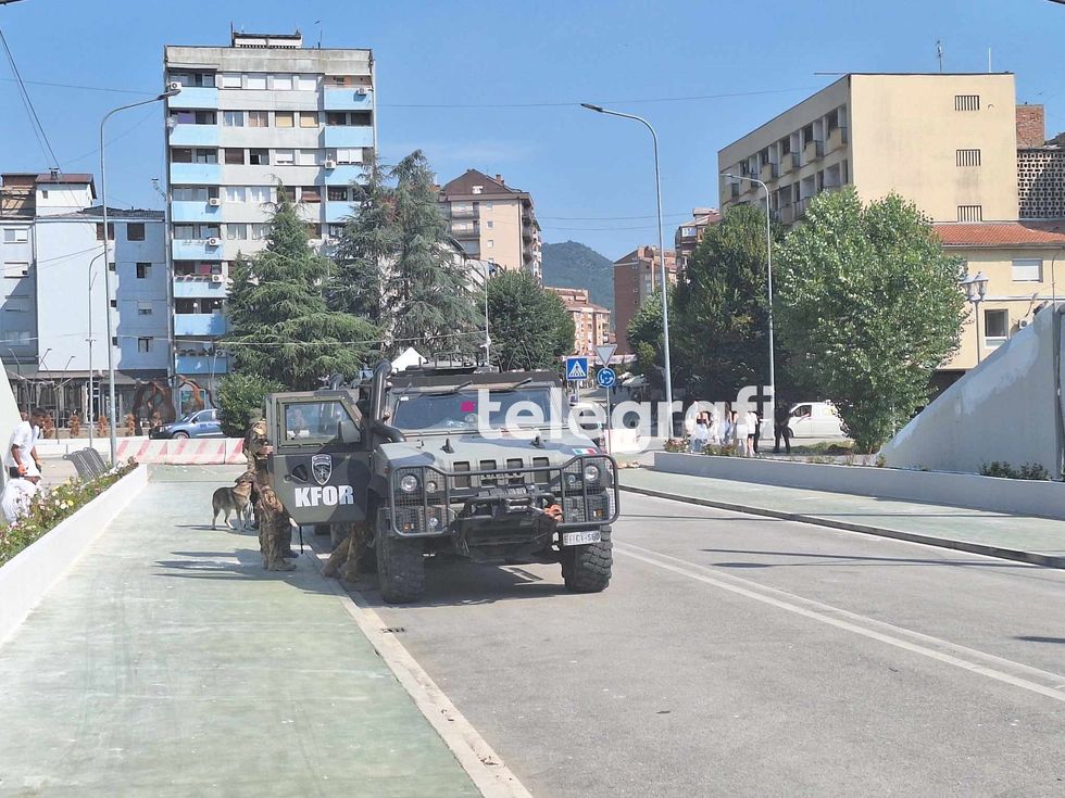 453836998 411099044807828 4825838919013038089 n