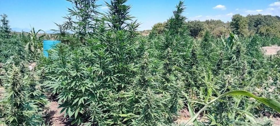 453839850 1188492982386085 2580383158853417899 n 1