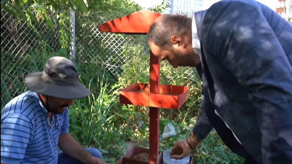 454690686 8113943248712489 9039627436797114777 n