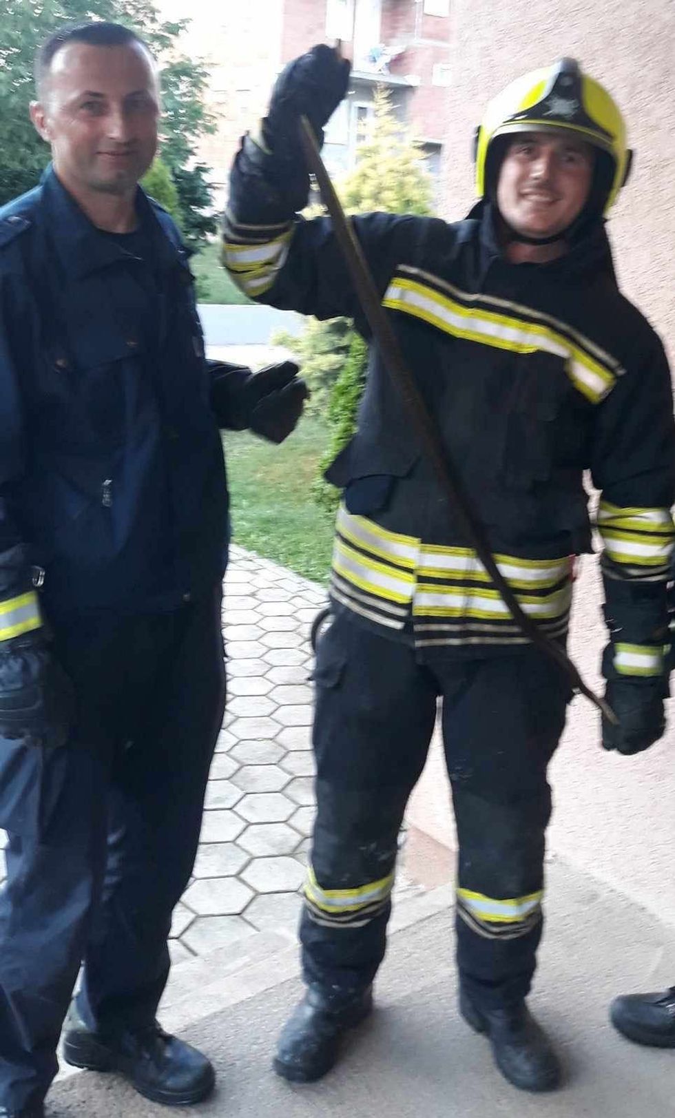 455649103 864286425853833 1435658342462747615 n