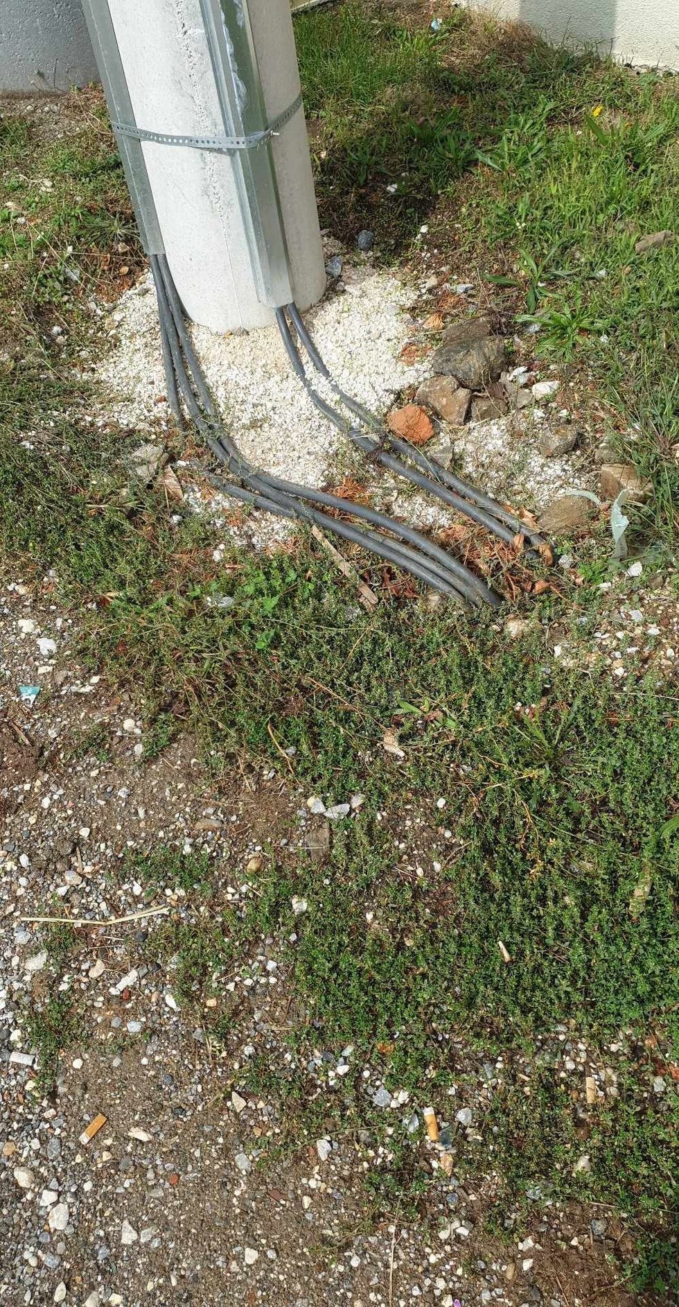 455687861 484941291195659 1744494231479894019 n