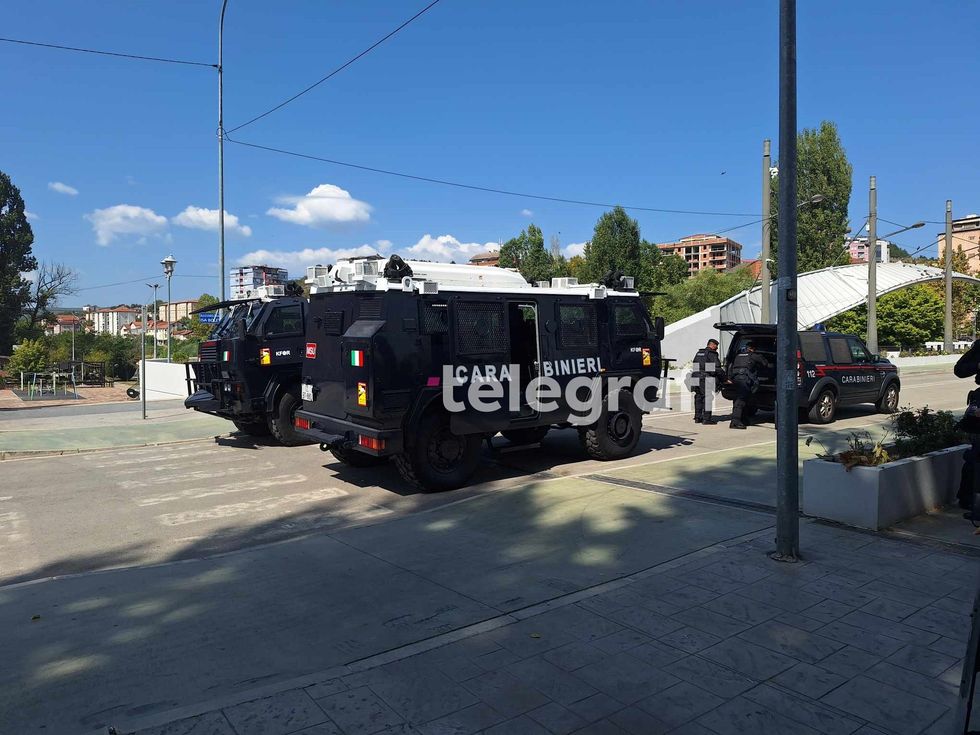 455798789 868898391788694 33930294462646910 n