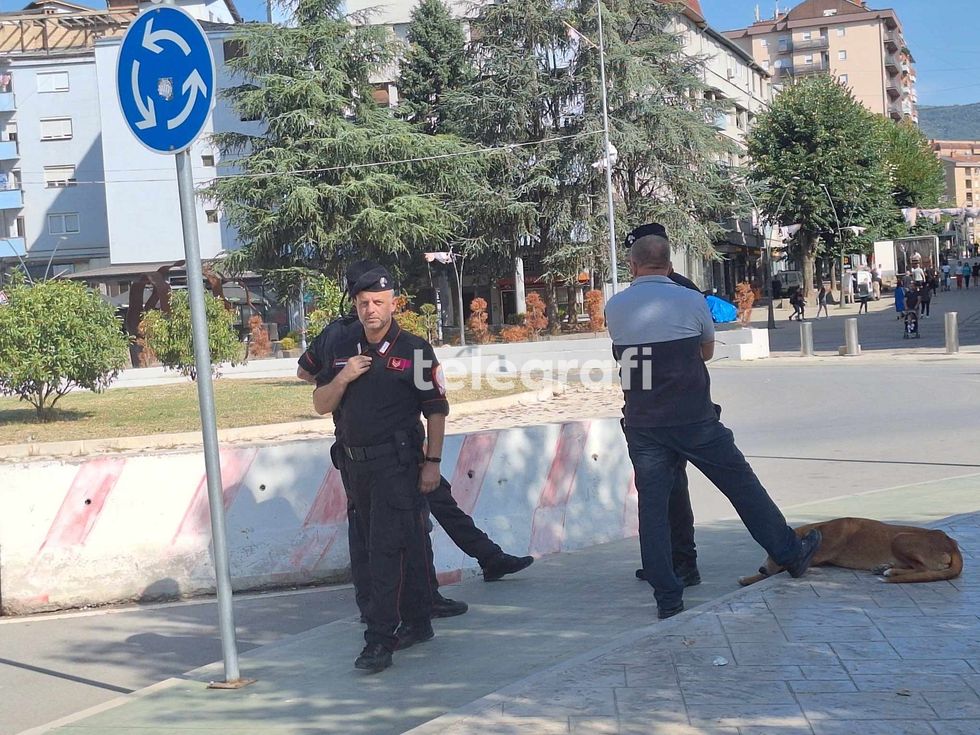 455824003 430291043363130 7664838536701175772 n