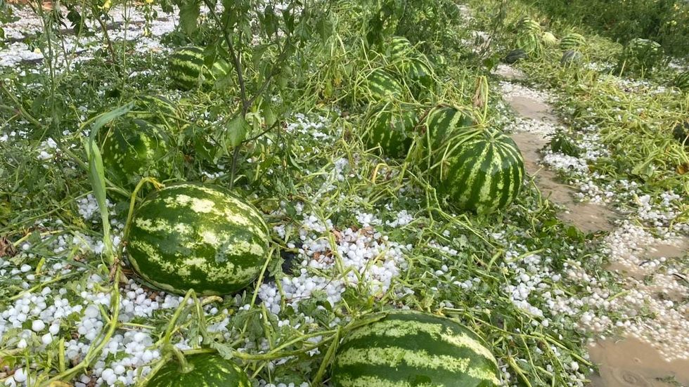 455856988 1028070275339198 1745608571938611427 n