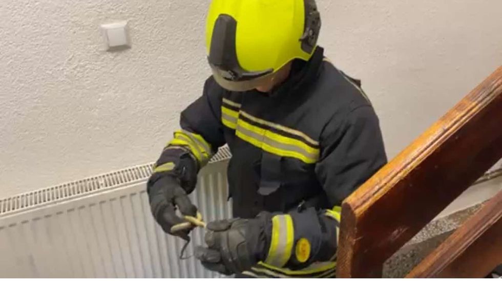 456702523 403348216112468 6390293578031456865 n