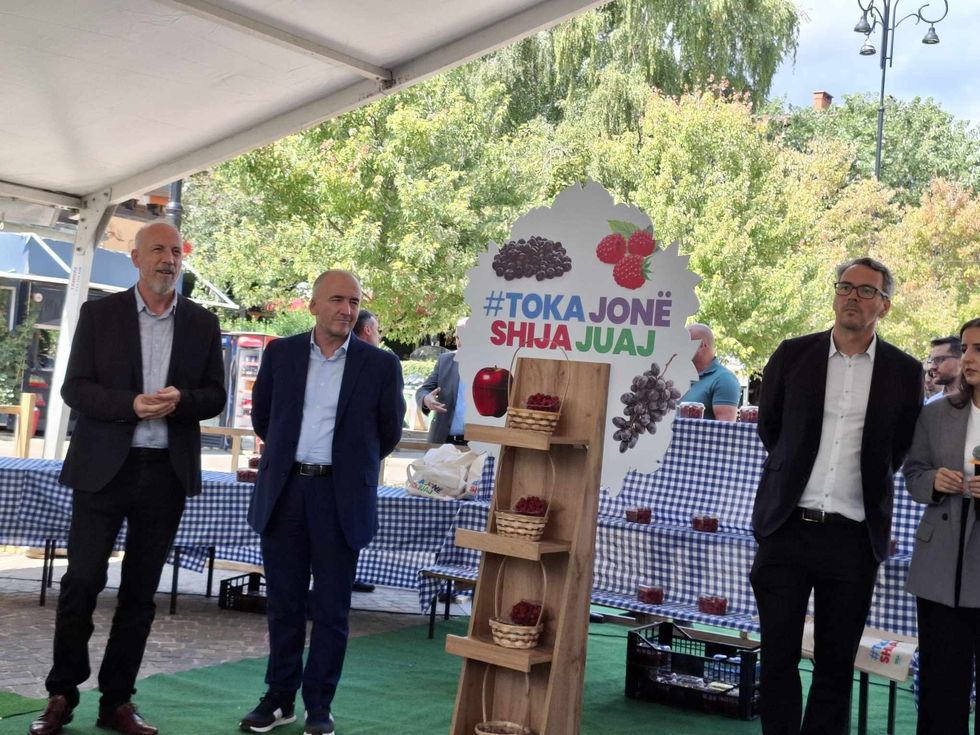 458293904 524493666736527 2802120960297214182 n