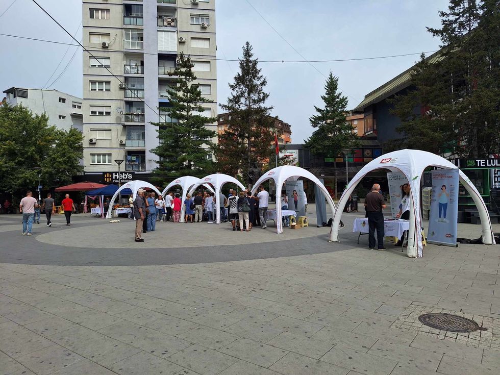 458949374 122121966218384448 2412428419299174241 n