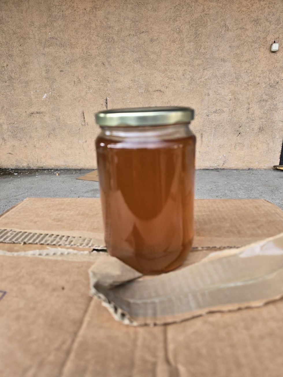 459447078 922957619867370 4393501486752297830 n