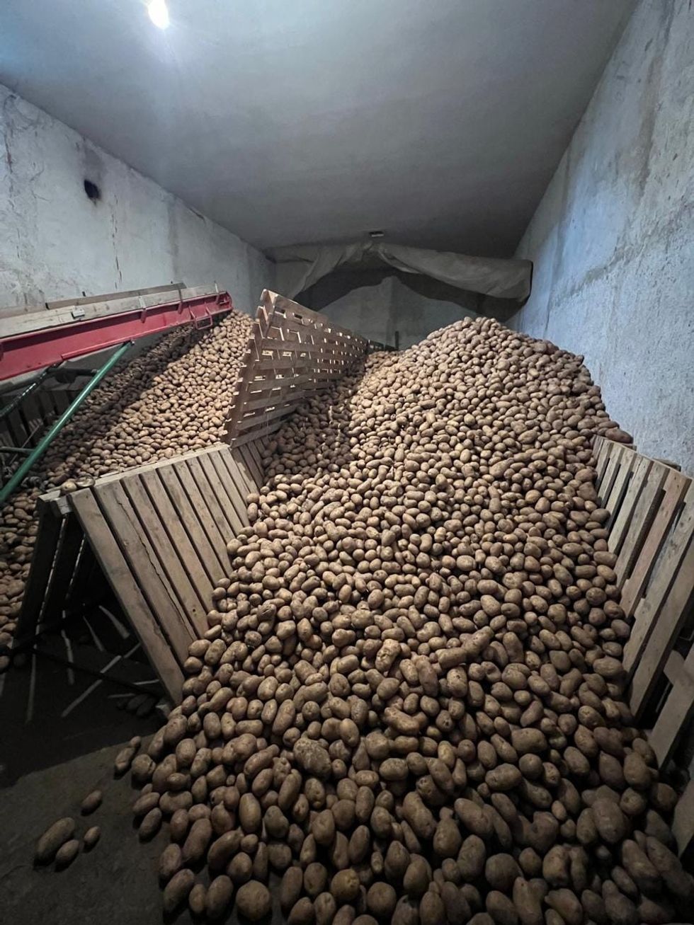 459597767 1050889660378427 3440195381177289155 n