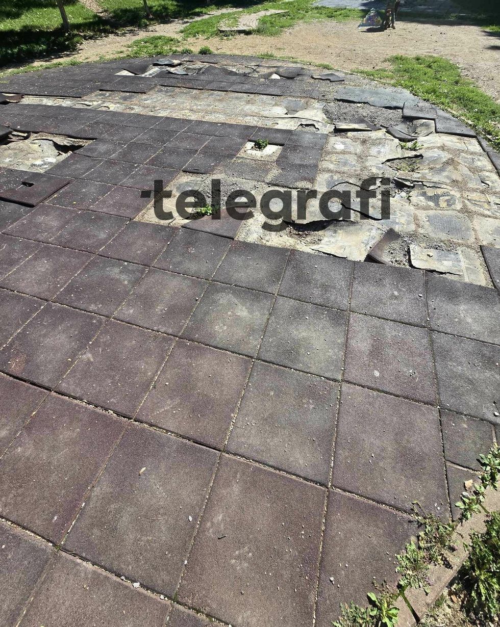 460002726 1191749595439216 1307678746937347477 n 1 e1727164955729