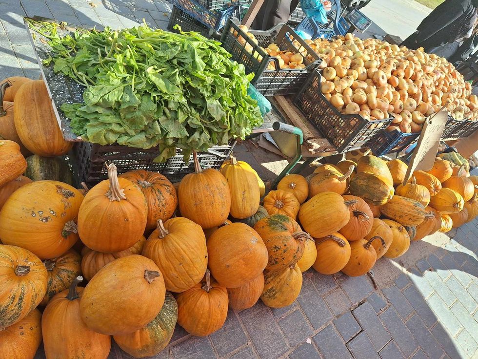 460432009 122123494022384448 5908771579646663613 n