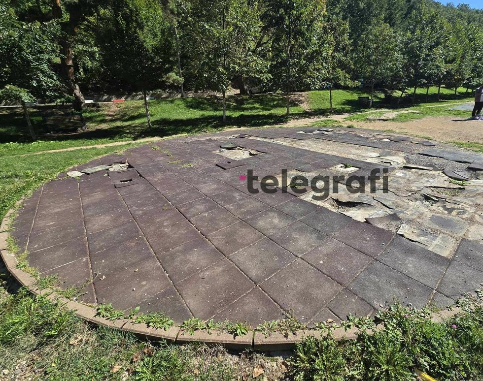 460462158 536211742298449 8133159667408236678 n 1 1 e1727164938587