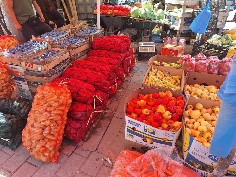 460501861 122123493998384448 6890161767580252193 n