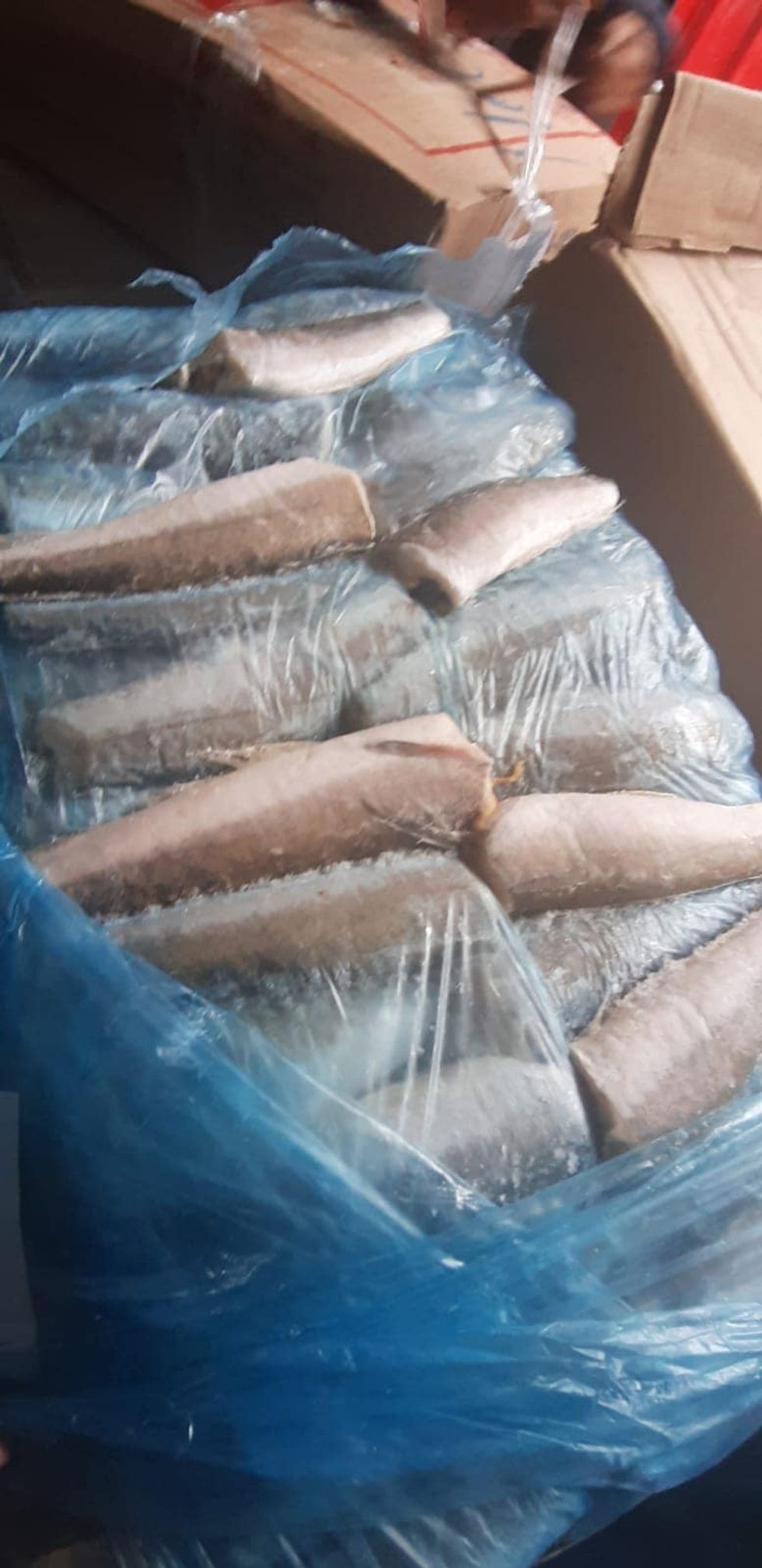 460627025 969583531876013 3403220502131636049 n