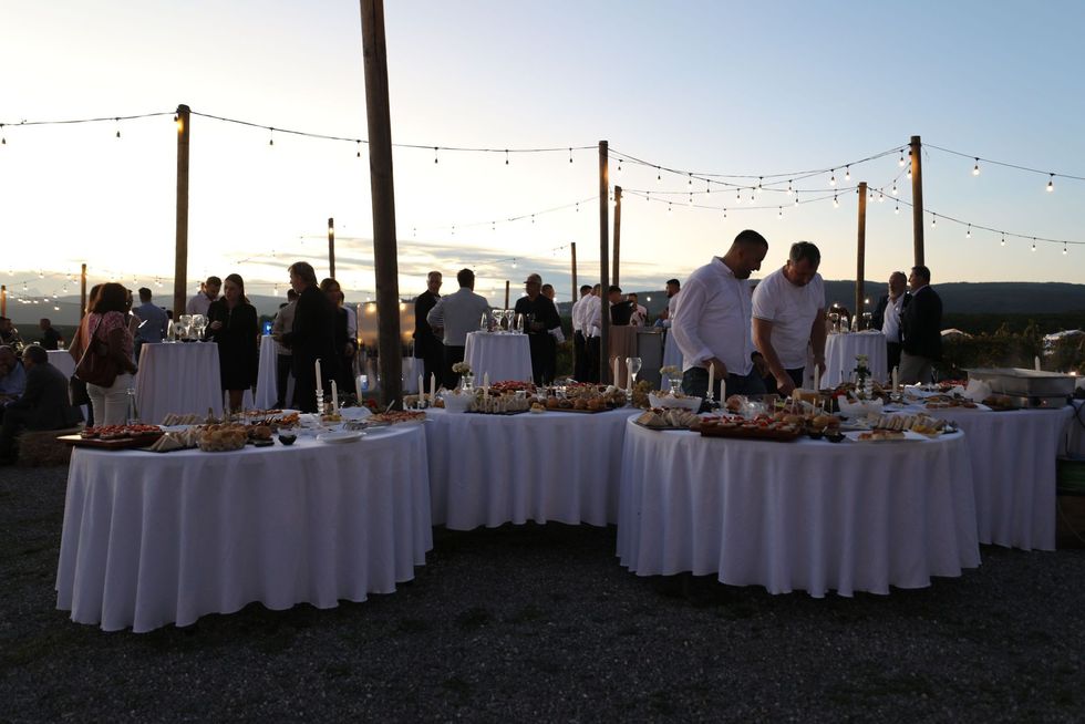 461582329 508735621792489 7343995875564658048 n