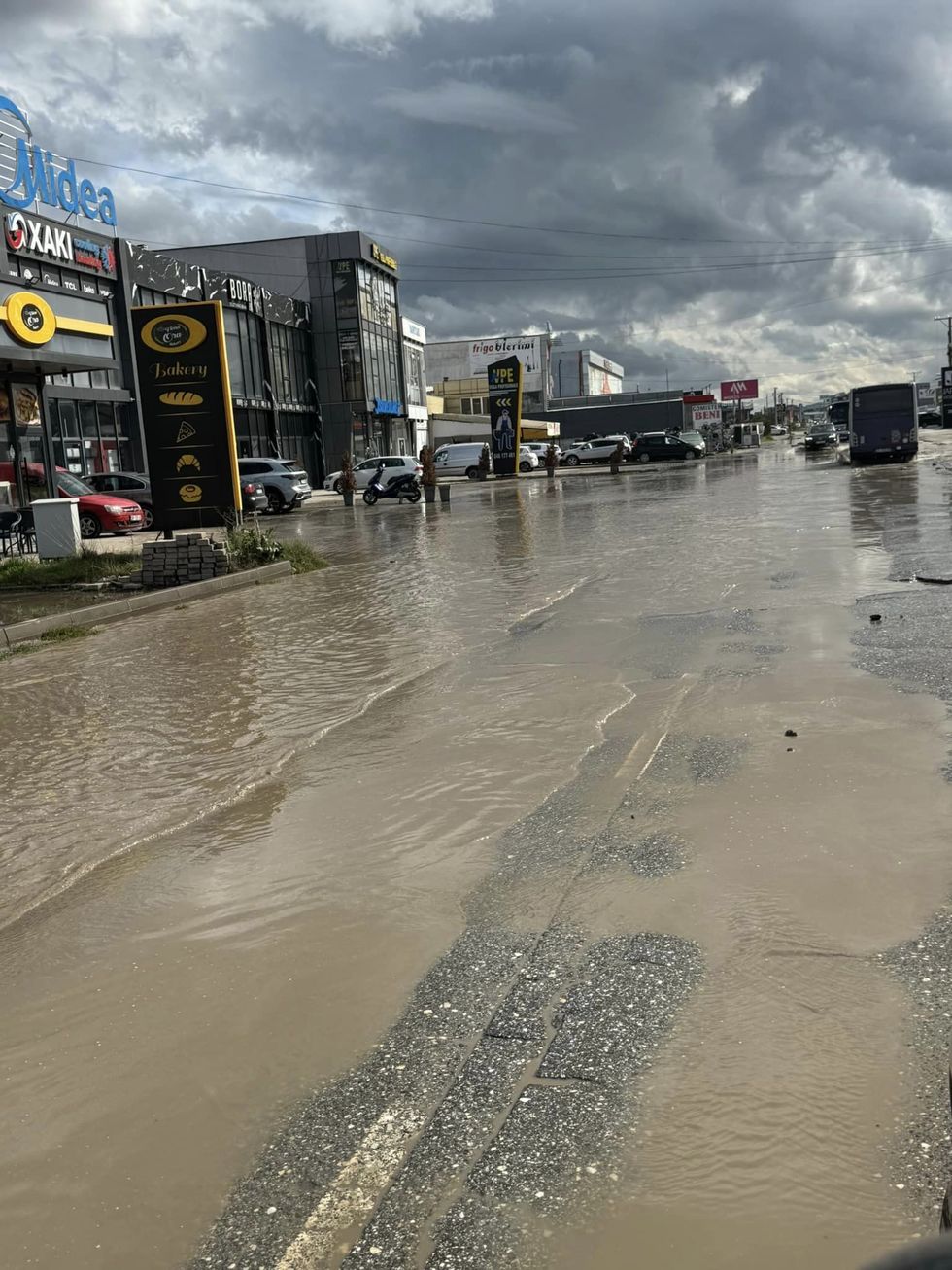 462116101 511829501726789 3054296907729341148 n 1