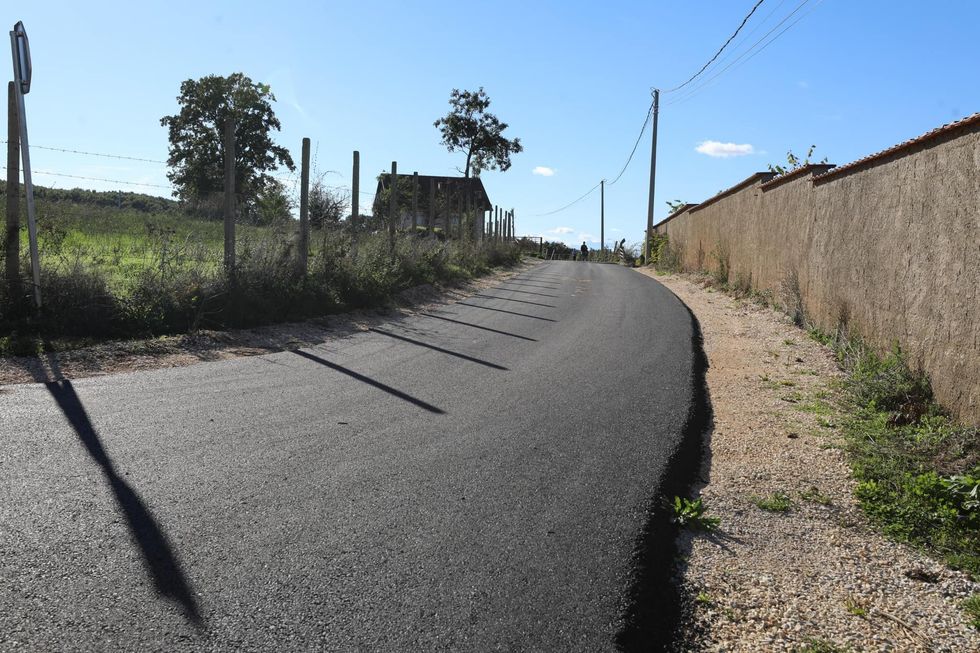 462309297 1039372407994018 8460490669059874722 n