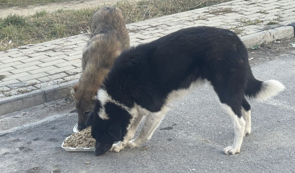 462359281 941321601356557 792616332479305118 n