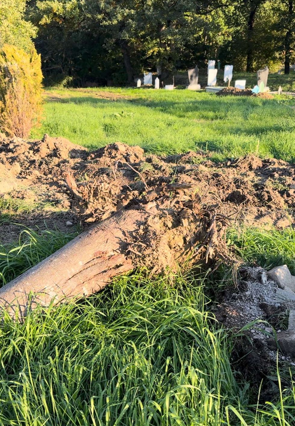 462536066 1046265786955222 7046366161183642446 n