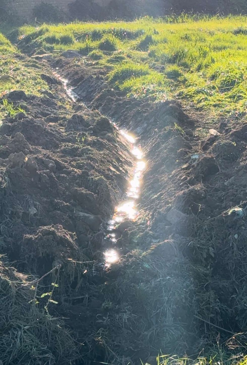 462536078 873600968244257 4452464431683062147 n