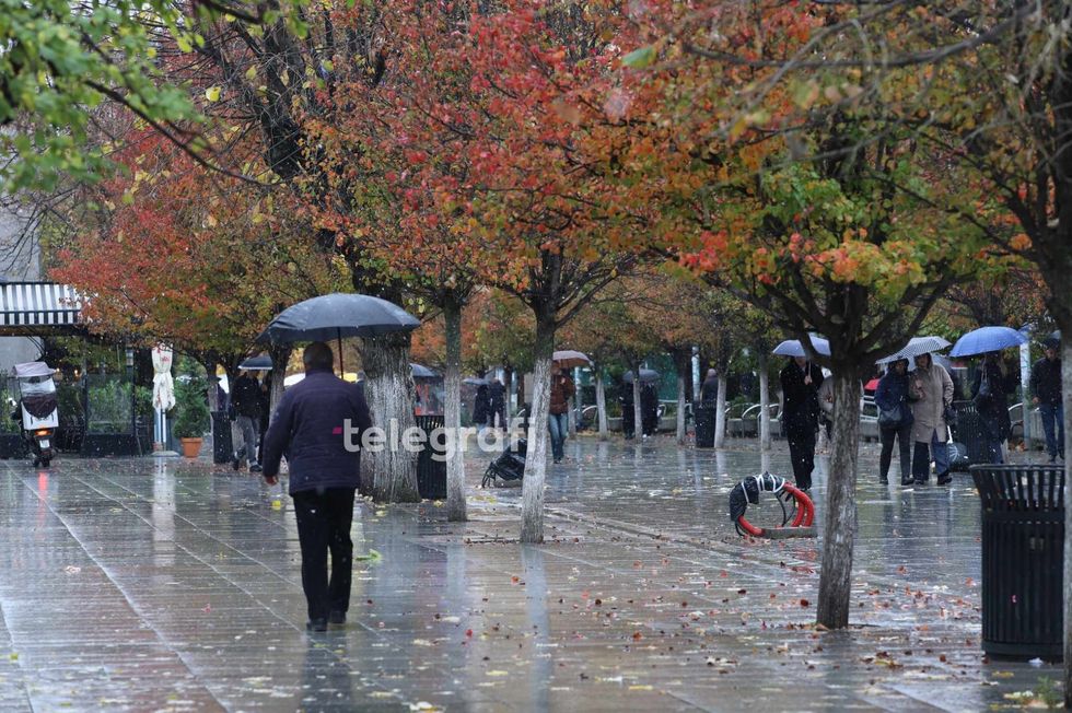 462552566 1616293872650268 8760862032696920769 n 1 1