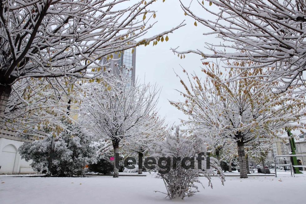 462568250 1608355276699654 3217755706584678239 n 1