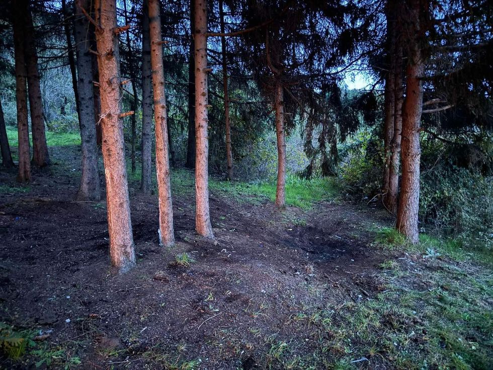 463396982 865054692476467 3883613764230097582 n